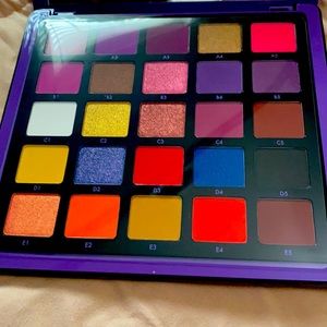 Norvina pro pigment palette New!!